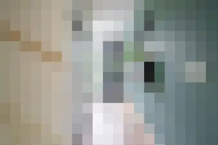 Ávilastraat 20 Lent thumbnail 36