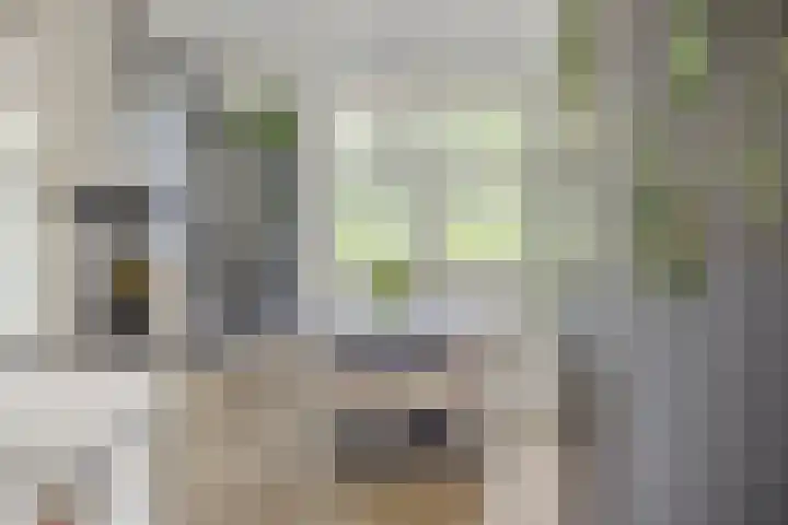 Ávilastraat 22 Lent thumbnail 15