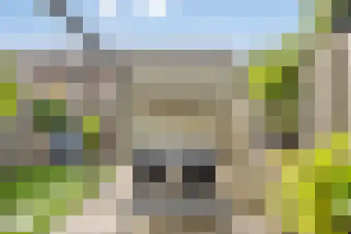 Ávilastraat 22 Lent thumbnail 19