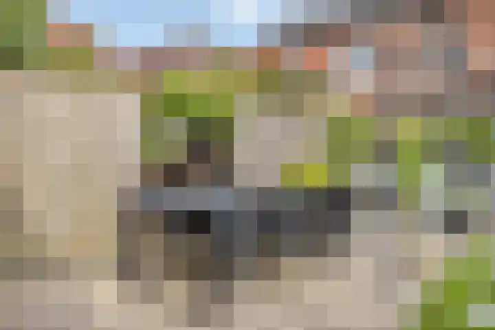 Ávilastraat 22 Lent thumbnail 20
