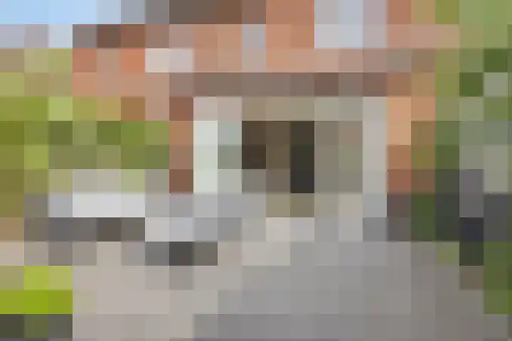 Ávilastraat 22 Lent thumbnail 22