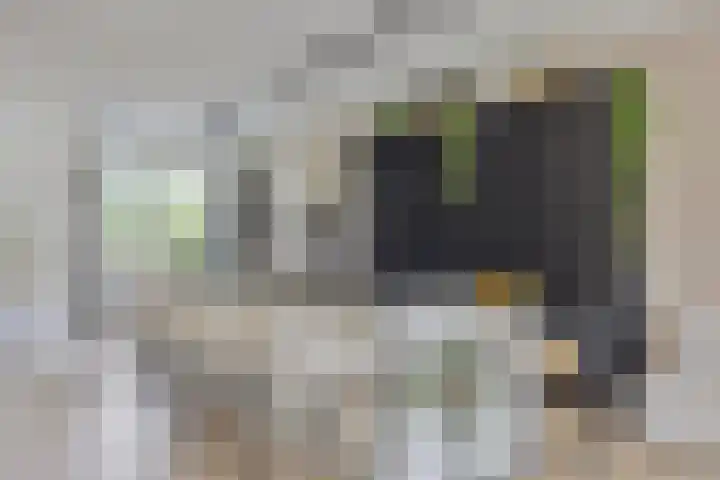 Ávilastraat 22 Lent thumbnail 8