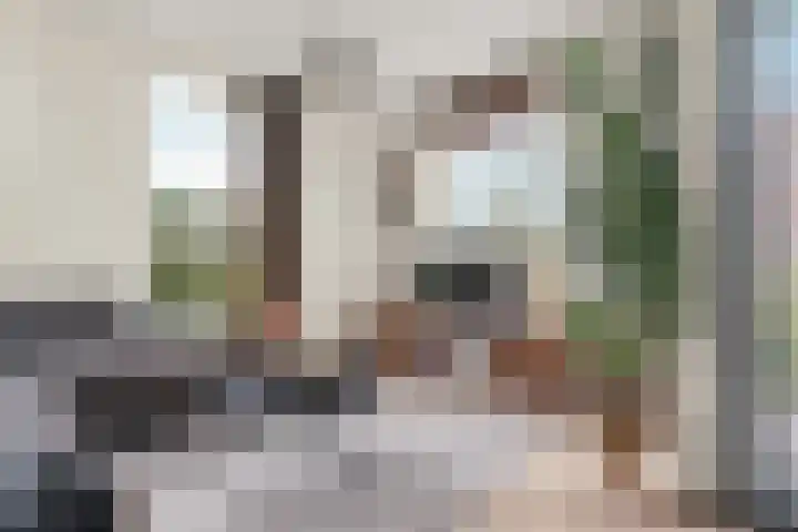 Ávilastraat 76 Lent thumbnail 15