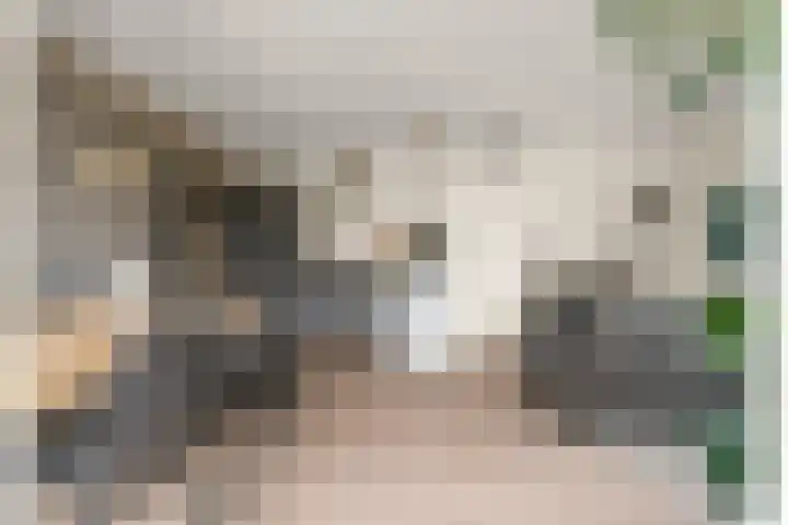 Ávilastraat 76 Lent thumbnail 16