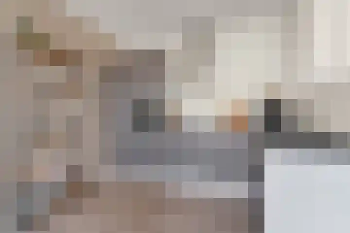 Ávilastraat 76 Lent thumbnail 17