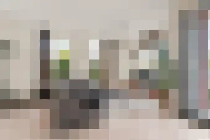 Ávilastraat 76 Lent thumbnail 21
