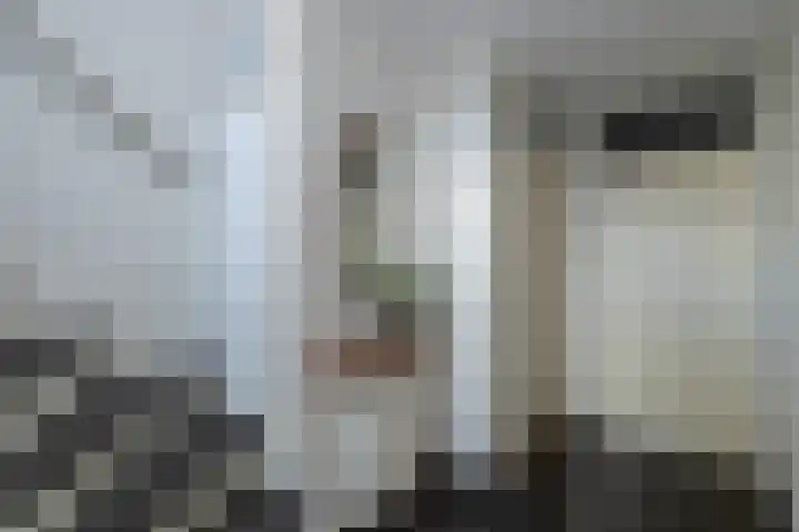 Aviolandaplein 13 Papendrecht thumbnail 13