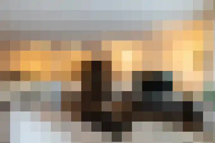 Aviolandaplein 13 Papendrecht thumbnail 15