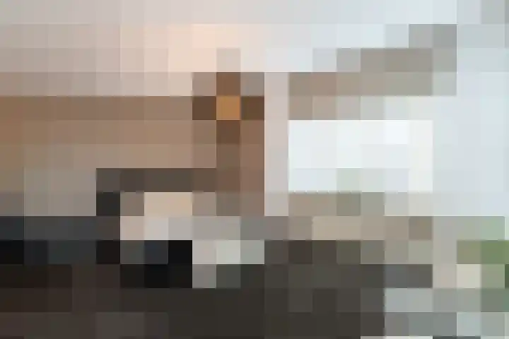 Aviolandaplein 13 Papendrecht thumbnail 24