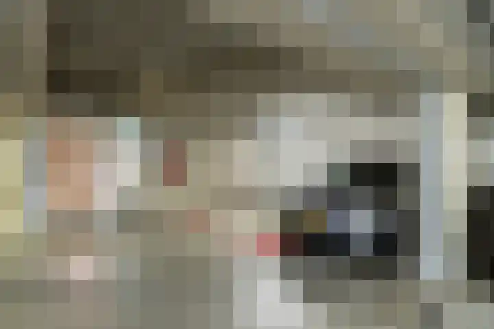 Aviolandaplein 13 Papendrecht thumbnail 32