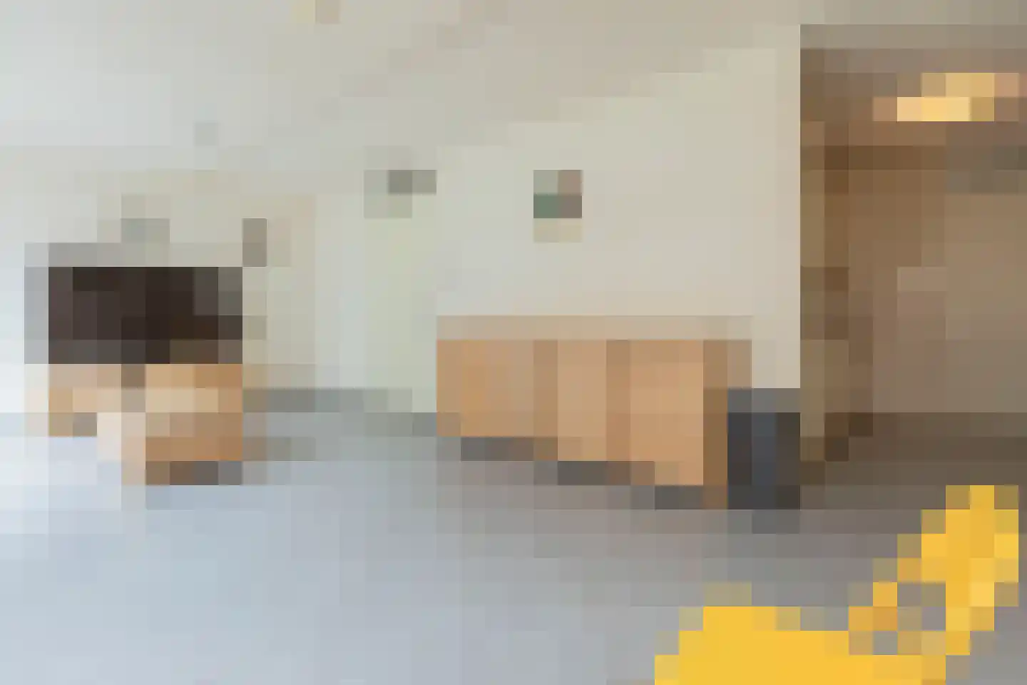 Aviolandaplein 16 Papendrecht thumbnail 19