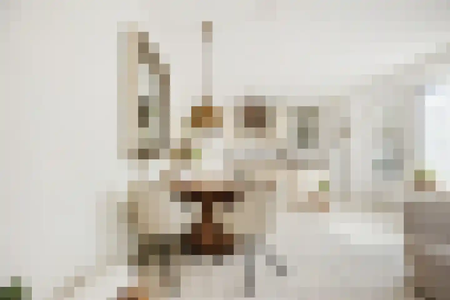 Aviolandaplein 29 Papendrecht thumbnail 17