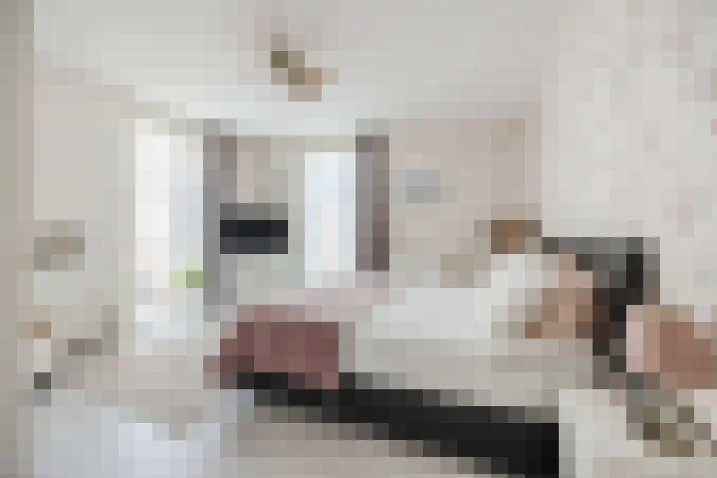 Aviolandaplein 29 Papendrecht thumbnail 24
