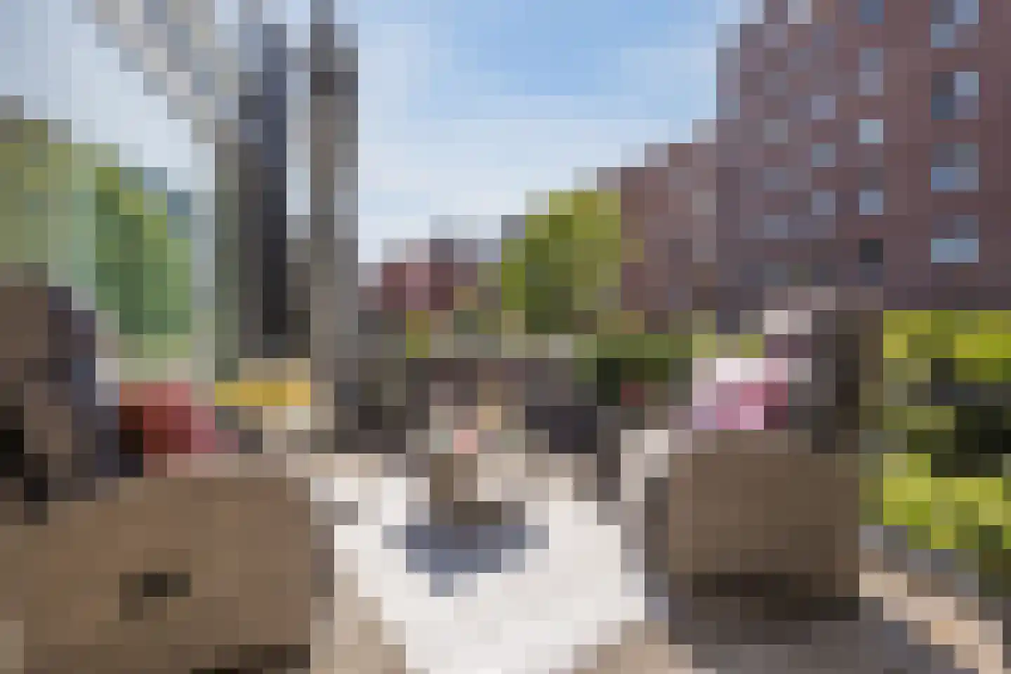 Aviolandaplein 29 Papendrecht thumbnail 5