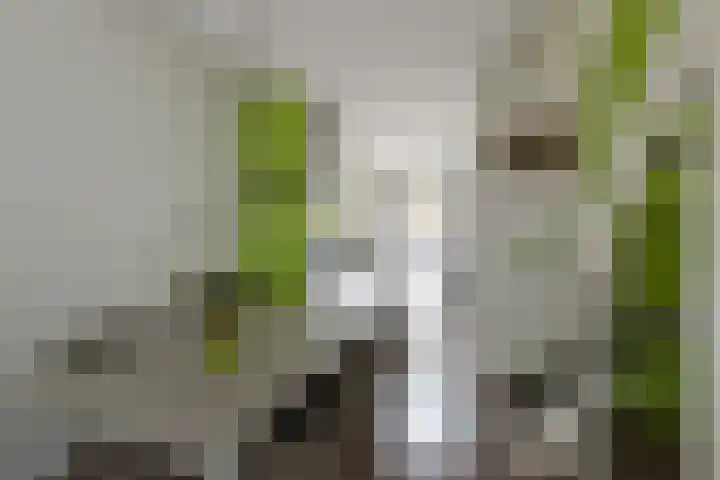 Aviolandaplein 36 B Papendrecht thumbnail 10