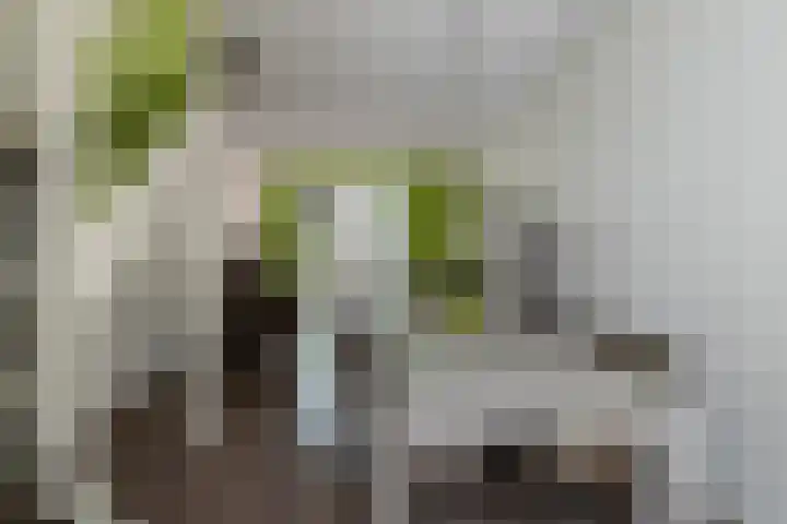 Aviolandaplein 36 B Papendrecht thumbnail 11