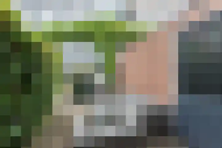 Aviolandaplein 36 B Papendrecht thumbnail 16