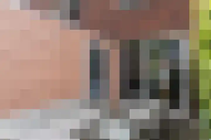 Aviolandaplein 36 B Papendrecht thumbnail 17