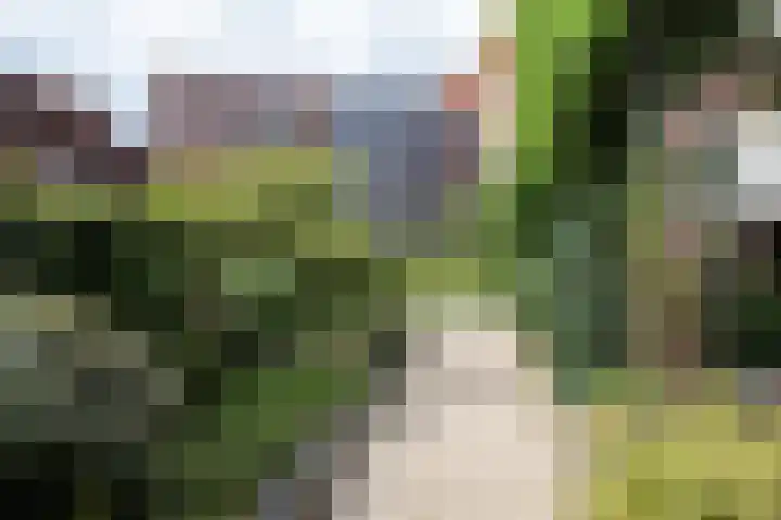 Aviolandaplein 36 B Papendrecht thumbnail 19