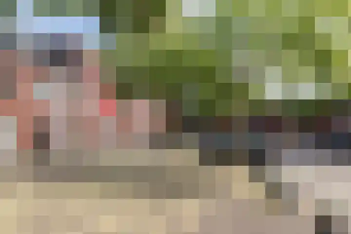 Aviolandaplein 36 B Papendrecht thumbnail 21