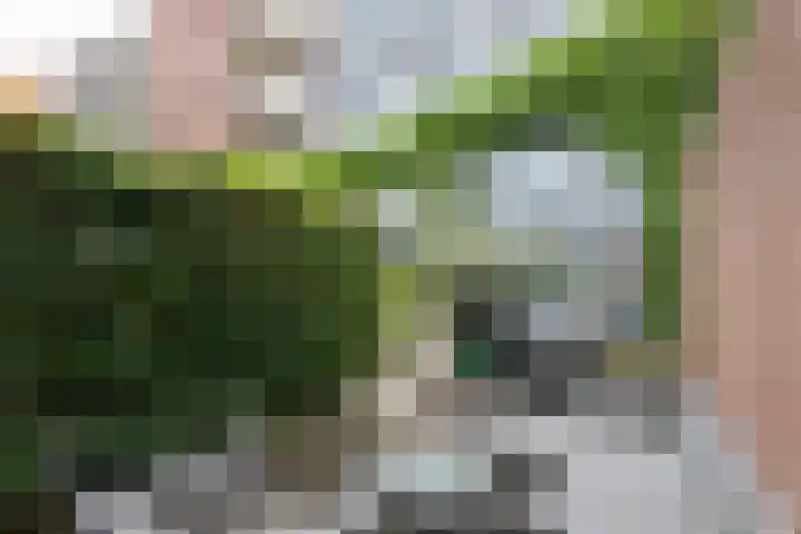 Aviolandaplein 36 B Papendrecht thumbnail 4