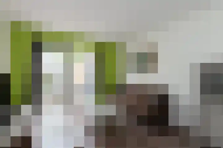 Aviolandaplein 36 B Papendrecht thumbnail 7