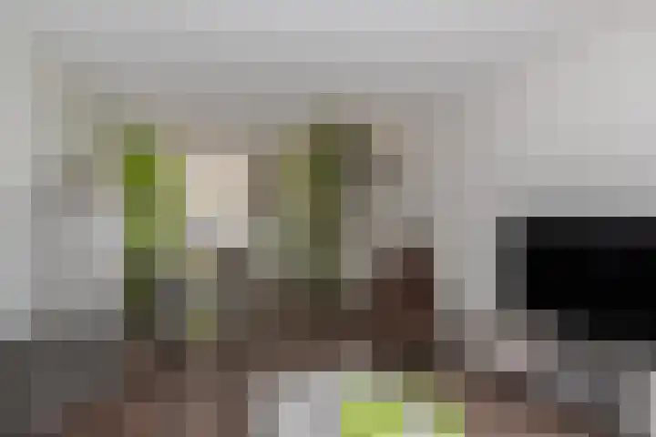 Aviolandaplein 36 B Papendrecht thumbnail 8