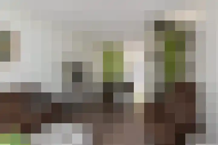 Aviolandaplein 36 B Papendrecht thumbnail 9