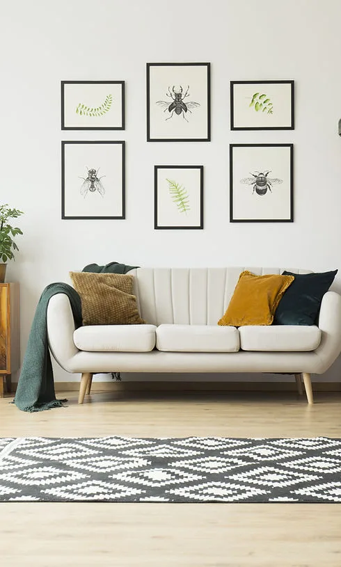 Kantoor foto van AVL Real Estate