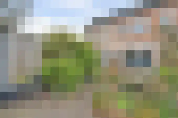 Avocadogaard 11 Spijkenisse thumbnail 10