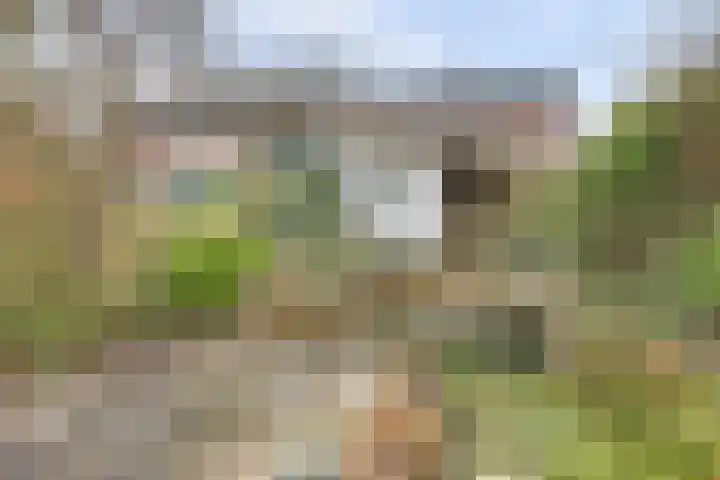 Avocadogaard 11 Spijkenisse thumbnail 11