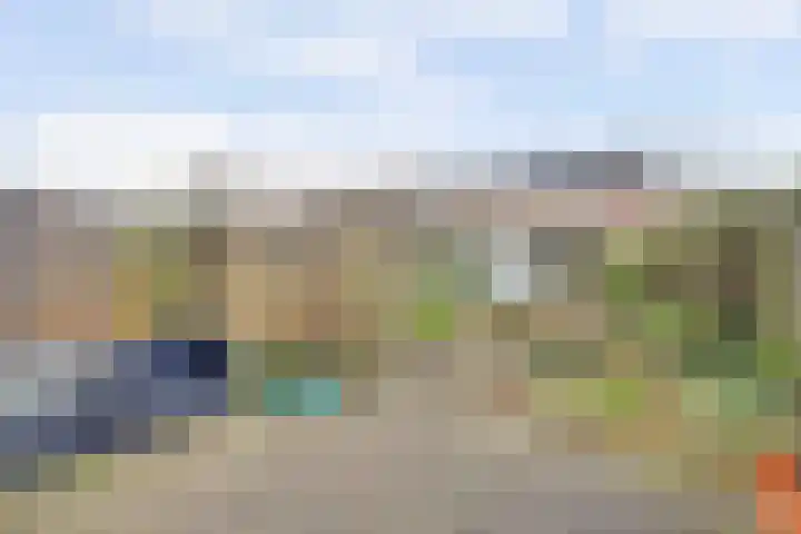 Avocadogaard 11 Spijkenisse thumbnail 12