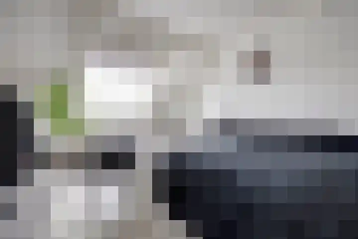 Avocadogaard 11 Spijkenisse thumbnail 21