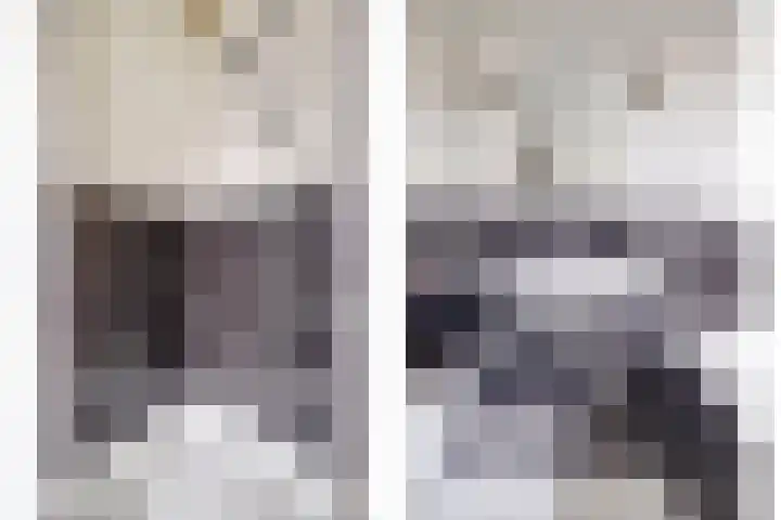 Avocadogaard 11 Spijkenisse thumbnail 26