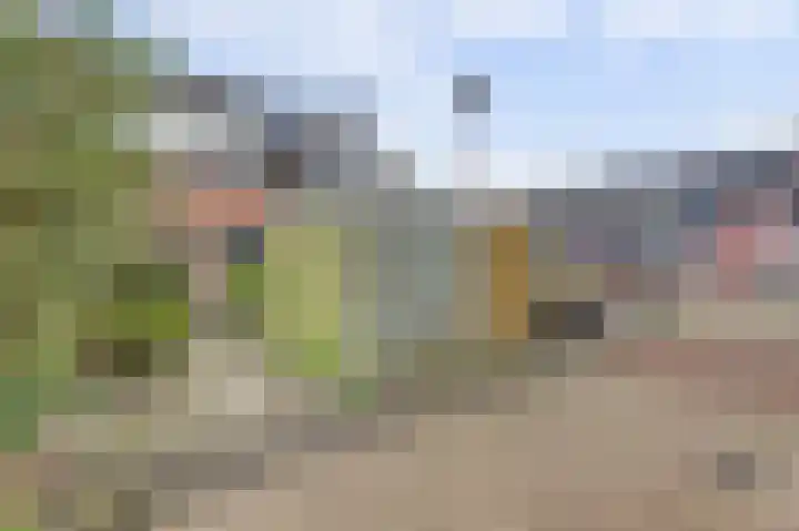 Avocadogaard 11 Spijkenisse thumbnail 29
