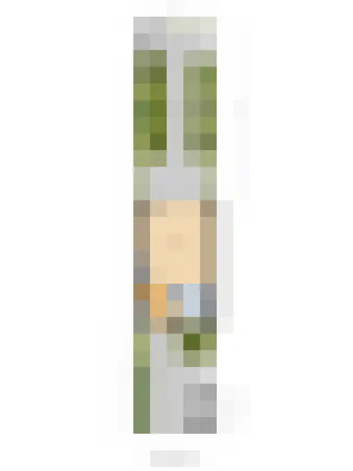 Avocadogaard 11 Spijkenisse thumbnail 34