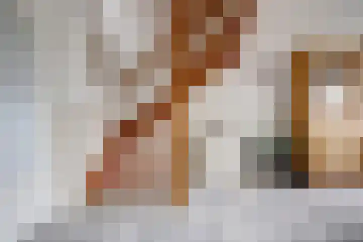Avocadogaard 11 Spijkenisse thumbnail 5