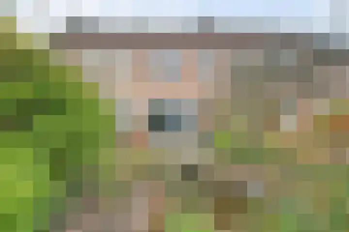 Avocadogaard 11 Spijkenisse thumbnail 9
