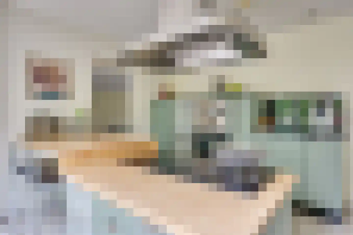 Avocadohof 3 Eindhoven thumbnail 27