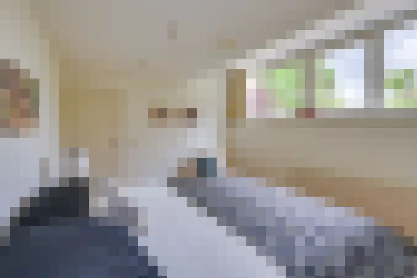 Avocadohof 3 Eindhoven thumbnail 36