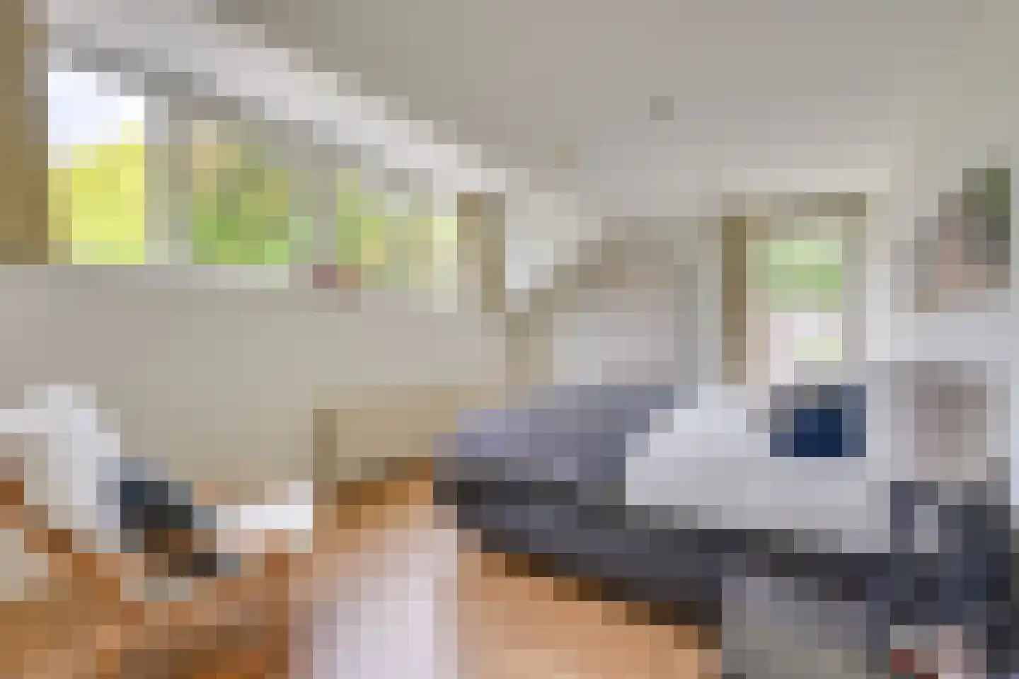 Avocadohof 3 Eindhoven thumbnail 37