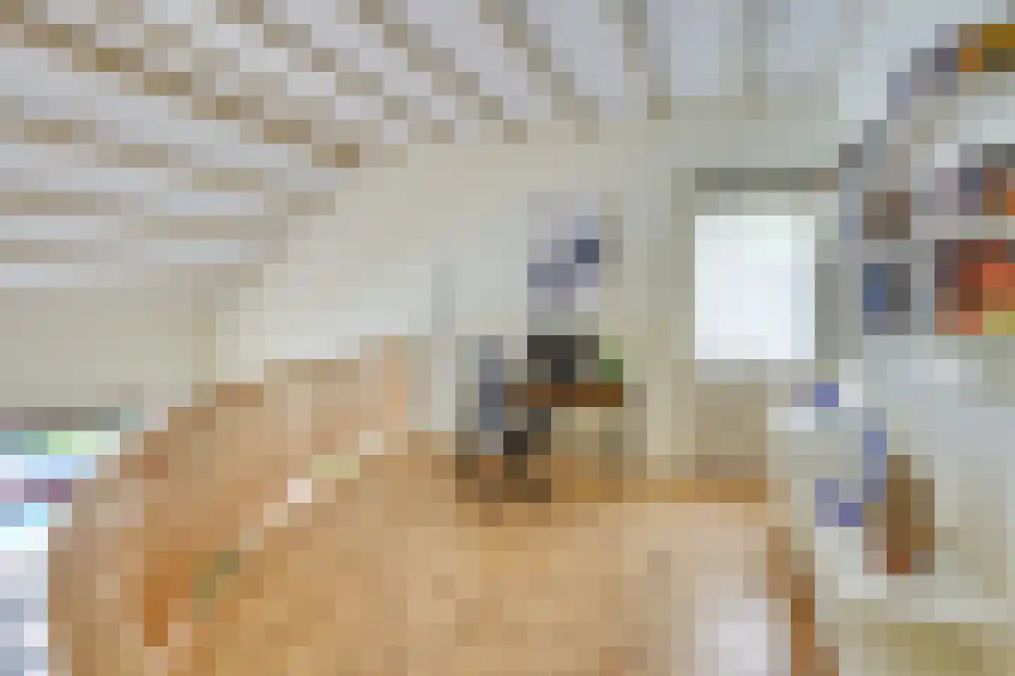 Avocadohof 3 Eindhoven thumbnail 41