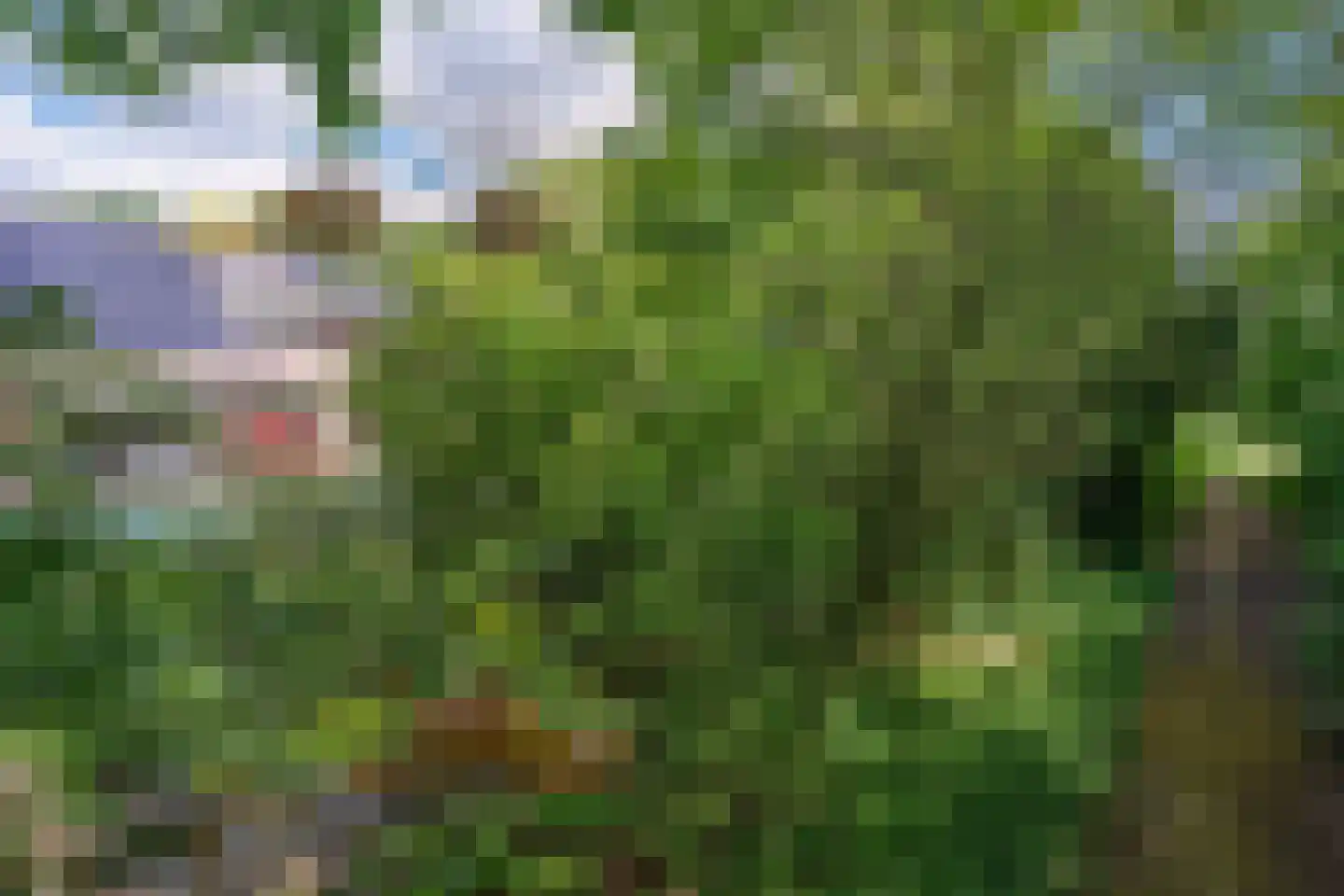 Avocadohof 3 Eindhoven thumbnail 54