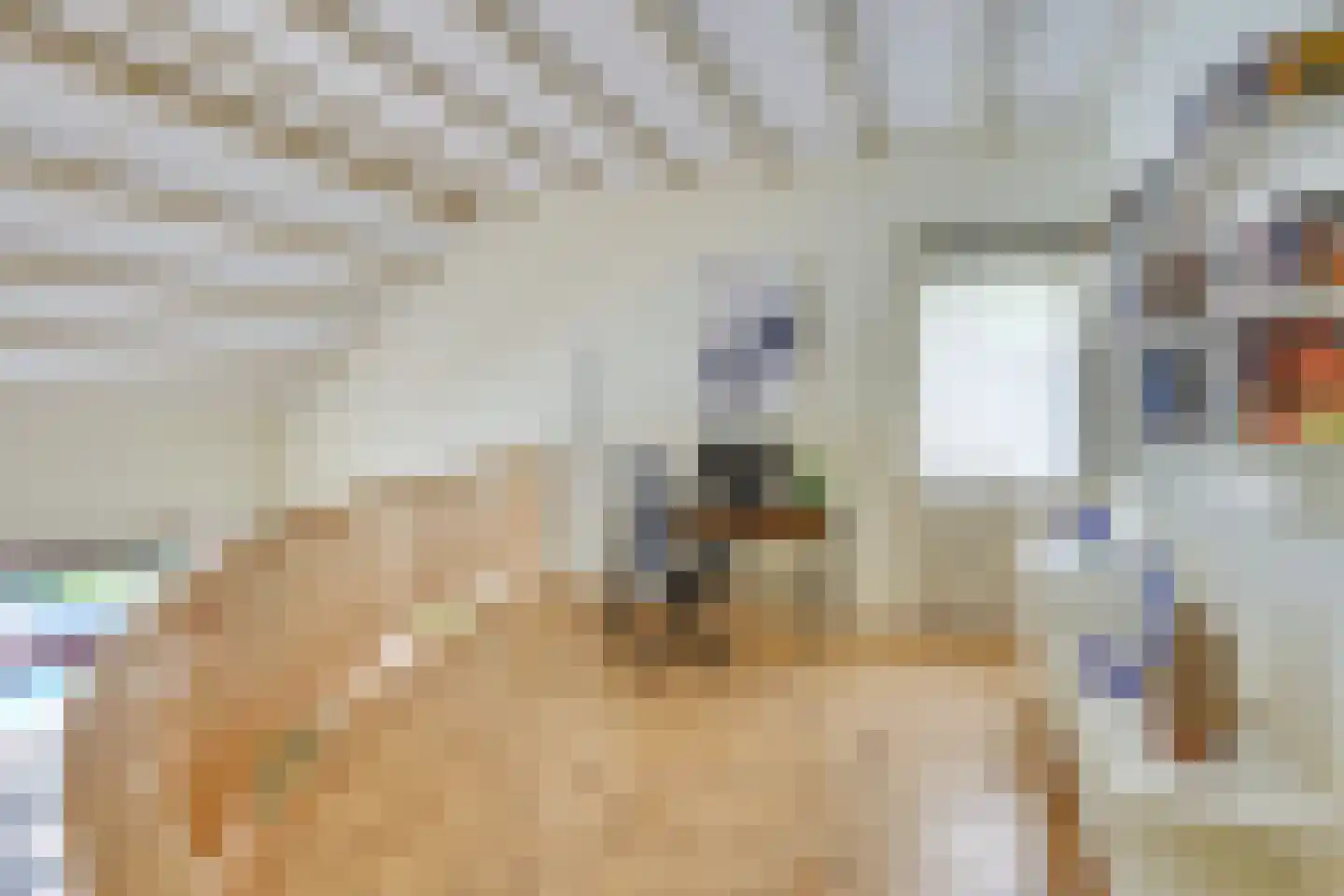 Avocadohof 3 Eindhoven thumbnail 7