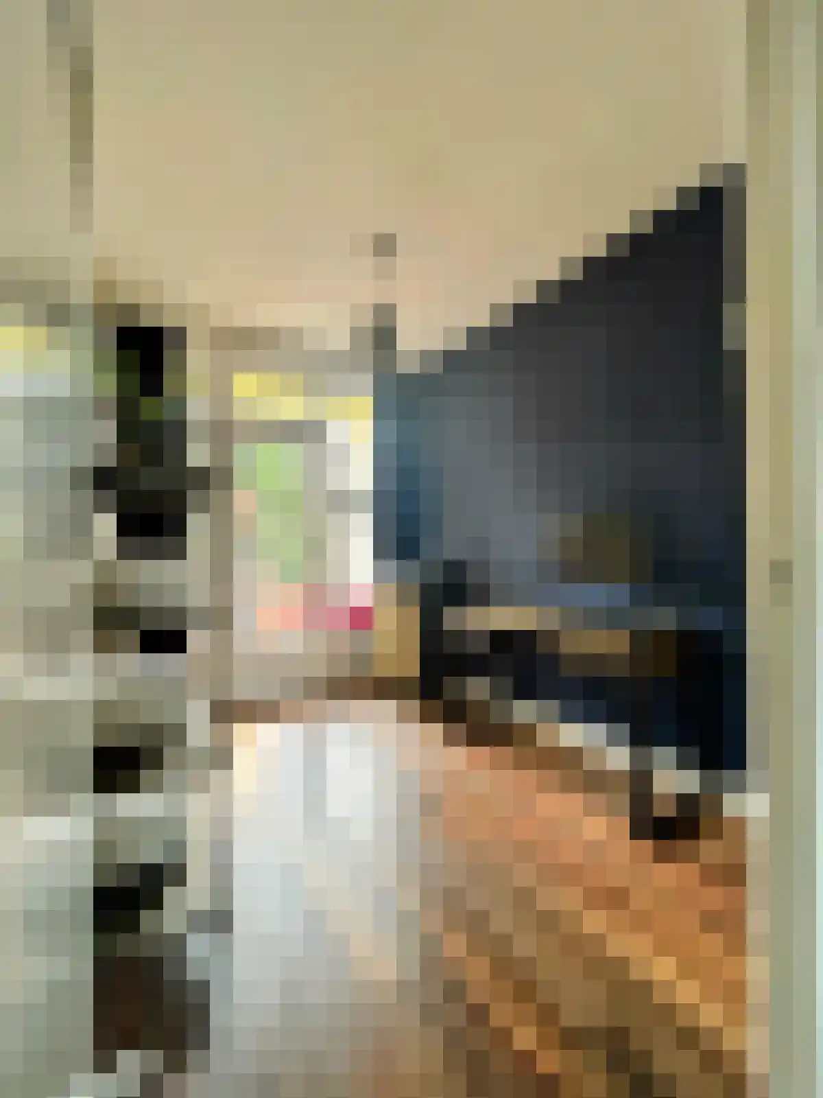 Avogadrostraat 2 H Amsterdam thumbnail 18