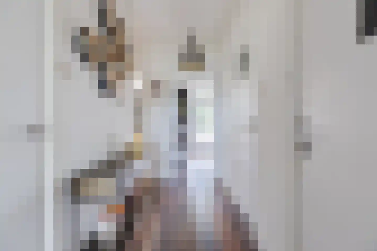 Avogadrostraat 2 H Amsterdam thumbnail 5