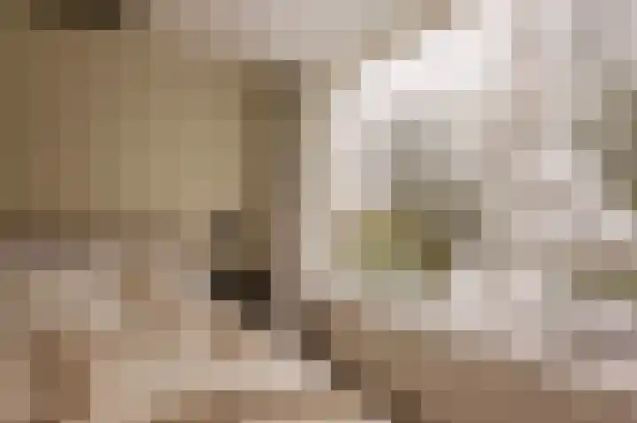 Avogadrostraat 3 2 Amsterdam thumbnail 16