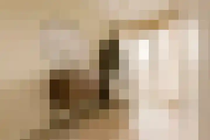 Avogadrostraat 3 2 Amsterdam thumbnail 20