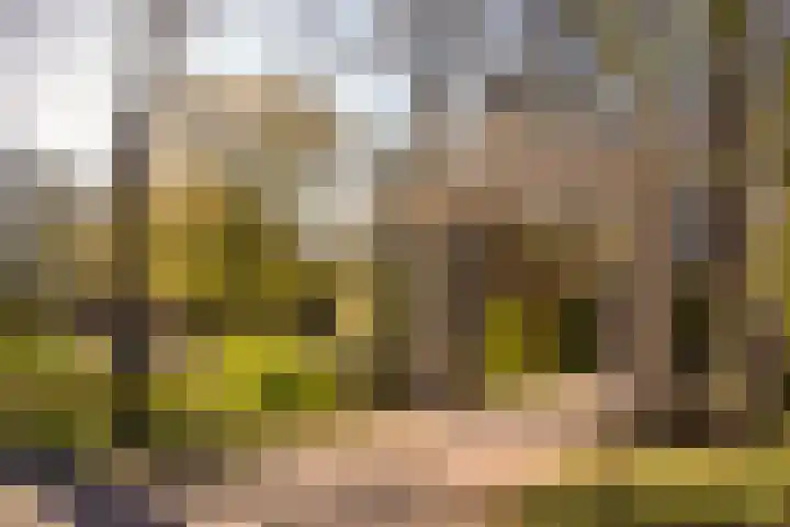 Avogadrostraat 3 2 Amsterdam thumbnail 29
