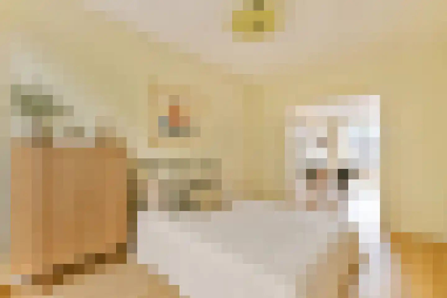 Avogadrostraat 4 3 Amsterdam thumbnail 12